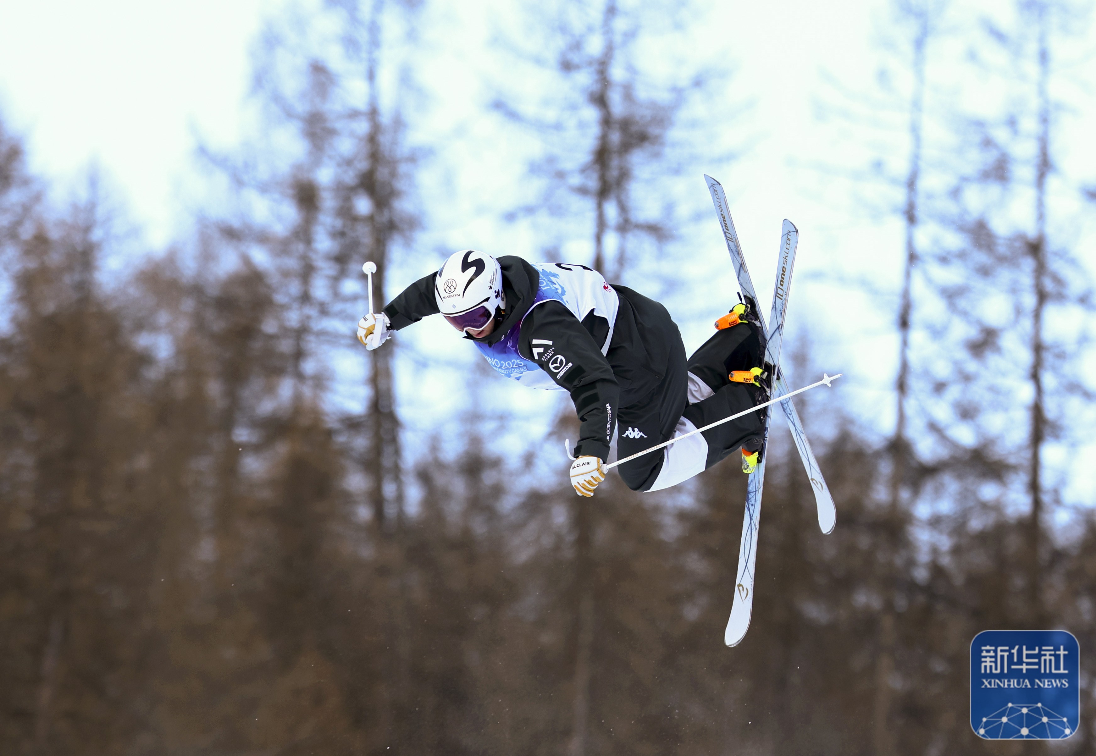 国际自由式滑雪大奖赛，雪地上的极速飞翔的简单介绍