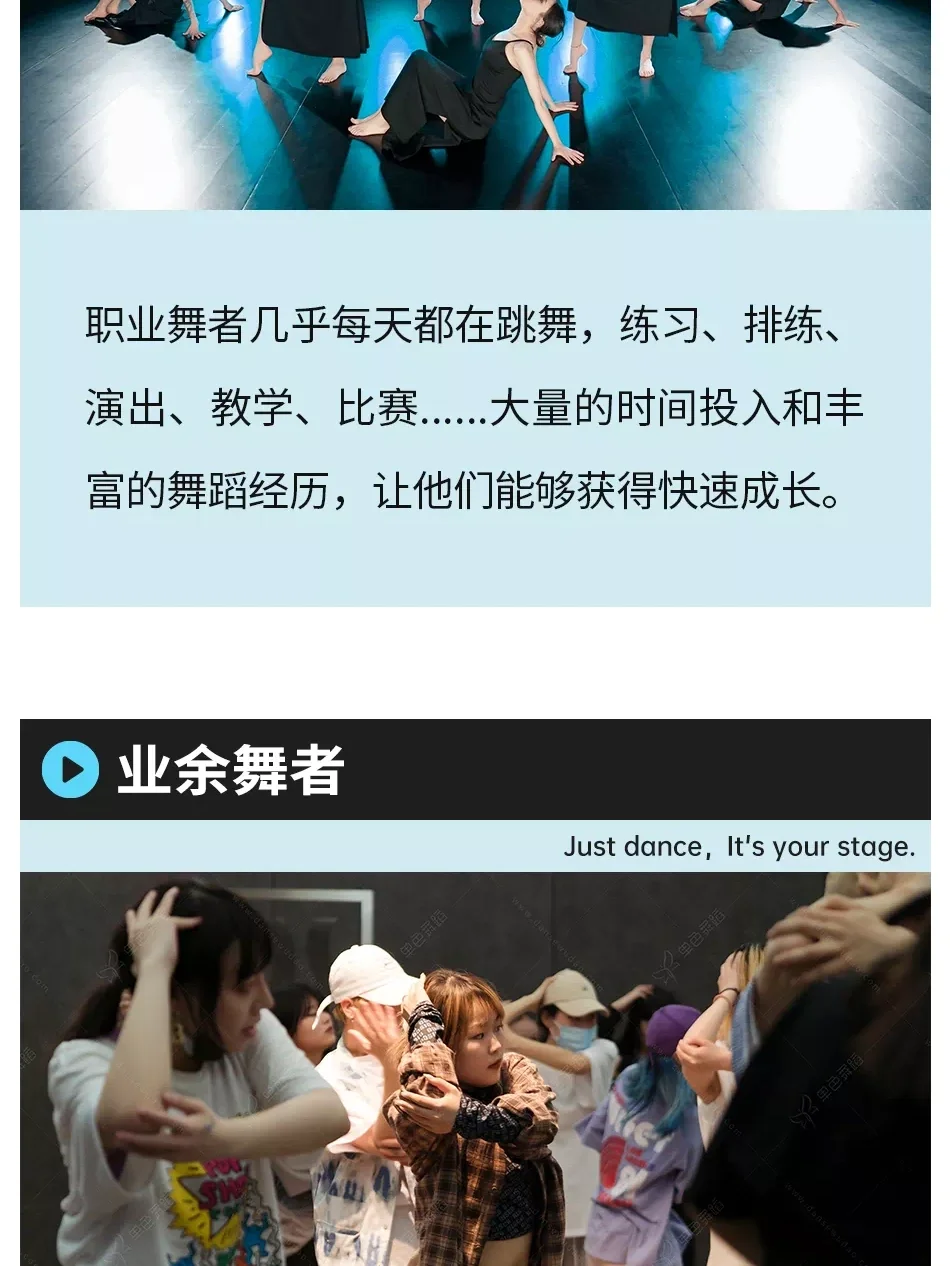 车手的成长故事：从业余到职业的蜕变的简单介绍