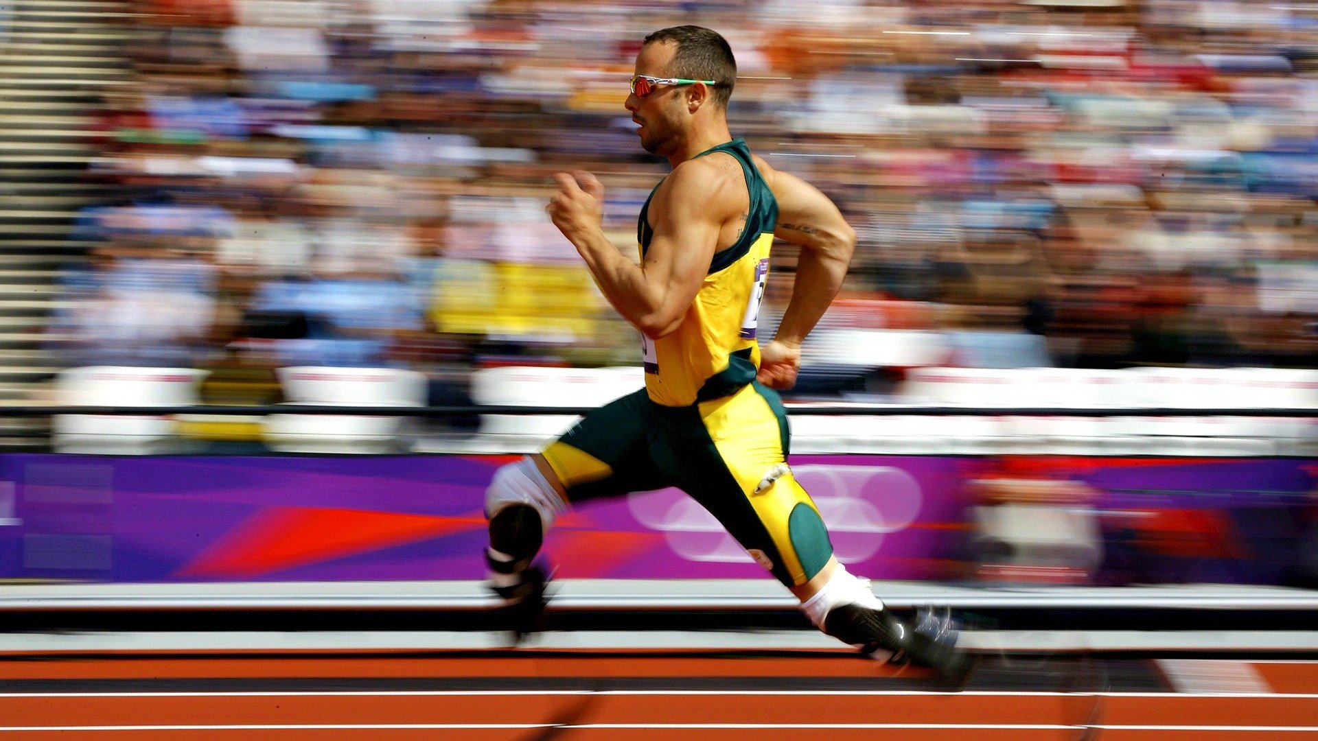 AYX官网-德甲赛事精彩瞬间：点点滴滴的高光时刻，德甲看点